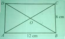 Check spelling or type a new query. Jawaban Ayo Kita Berlatih 8 2 Halaman 204 Matematika Kelas 7 Segiempat Dan Segitiga Bastechinfo