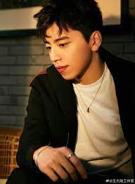 A hearty chat with taiwanese star darren wang aka wang ta lu sheds light on the thoughts, hopes and challenges he has faced in his career thus far. Darren Wang Profile And Facts Updated