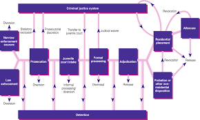 Case Flow Diagram