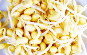 Kacang jenis ini memiliki 9 gms protein ketika dimasak (240 ml). Kecambah Manfaat Efek Samping Dan Tips Penyimpanan Idn Medis