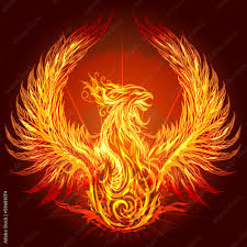 Image result for Phoenix