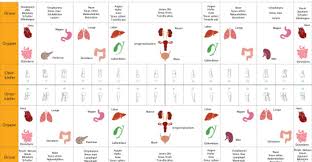 Komplementare Zahnmedizin Zahnarzt Dr Alois Maier