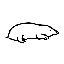 Use this lesson in your classroom, homeschooling curriculum or just as a fun kids activity that you as a parent can do with your child. Mole Coloring Page Ultra Coloring Pages