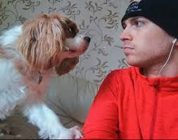 jogging in road during white out conditions is reckless