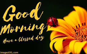 Share our cool designer inspirational images with loved ones and friends! Good Morning Images 60 Pics Imagesxxl