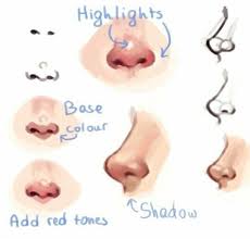 Nose Colors Nose Drawing Art Tutorials Flower Drawing Tumblr