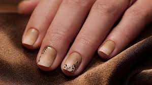 We did not find results for: 1001 Ideas And Designs For Eye Catching Ombre Nails
