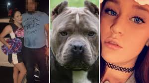 Gli uomini dello sceriffo della contea di knox hanno sparato a uno degli animali mentre gli altri quattro sono stati portati in un canile vicino. Cheerleader Di 19 Anni Sbranata E Uccisa Dai 5 Cani Del Vicino