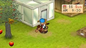 Kumpulan Cheat Harvest Moon Back To Nature Ps1 Dan Epsxe