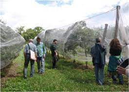 This targeted, niche job boards is designed for people and companies who are a real part of this industry. Incentives And Policies For Integrated Pest Management In Europe A Review Springerlink