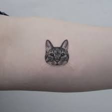 See more ideas about cat tattoo, cat tattoo designs, tattoos. Detailed Cat Face Tattoo Best Tattoo Ideas Gallery