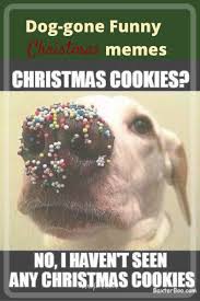 Maybe you would like to learn more about one of these? Funny Dog Christmas Memes