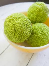 +7 or higher magic attack against fire property. How To Use Hedge Apples To Repel Spiders The Homespun Hydrangea
