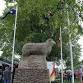 Guyra Lamb & Potato Festival event image