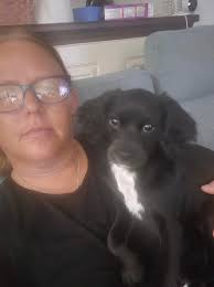 Thankyou for allowing me to join! Got our first cavoodle puppy recently!  Love her to bits! Her name is Luna!