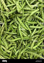 Image result for Cyamopsis