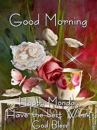 Good morning flowers for a friend. Good Morning My Friend