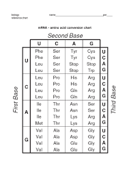 This is the currently selected item. 20 Amino Acid Charts Free To Download In Pdf