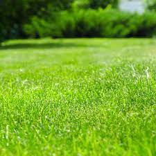 Reasonable aerator shoes cost about $20, which when considering their benefit is relatively cheap as it provides excellent results and gets the job done. How Much Does Aeration And Seeding Cost Green Lawn Fertilizing
