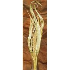 Check out our dried corn stalk selection for the very best in unique or custom, handmade pieces from our shops. Dried Corn Stalks For Sale Dried Corn Bundles