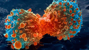 Image result for cancer disease