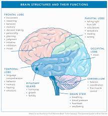 They could be symptoms of lung cancer or head and neck cancer. Signs And Symptoms National Brain Tumor Society