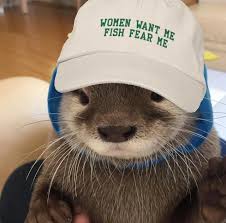 Black funny fishing hat embroidered women want me fish fear me baseball cap adjustable pure cotton. Women Want Me Fish Fear Me Otter Cute Aww Album On Imgur