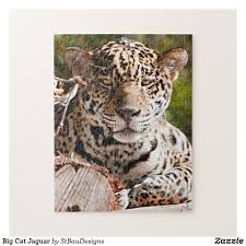 Big Cat Jaguar Jigsaw Puzzle Zazzle Com In 2020 Cat Puzzle Big Cats Animal Puzzle