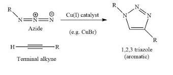 Can A Strong Nucleophile Be A Weak Base? | Socratic
