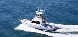 7 Reasons To Hire A Fishing Charter Sea Reed Charters