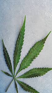 pin em smoke weed pinterest