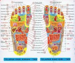 Would you like to know how to translate perut to english? Body Reflection Massage And Herbal Medicine For Android Apk Download
