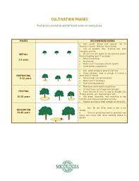Truffle Farming Guide Farming Guide Biological Activity Truffles