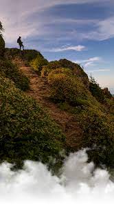 As you browse around the map, you can select different parts of the map by pulling across it interactively as well as zoom in and out it. Explore Gatlinburg Tn Things To Do The Great Smoky Mountains