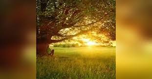 Charles Eugene Wilbert Obituary