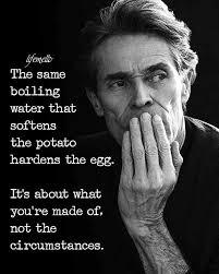 Susan Miko (susanmiko)