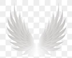 Wing Angel Wings Wing Feather Flight Fly Soar Png And Vector With Transparent Background For Free Download Angel Wings Png Wings Png Wings