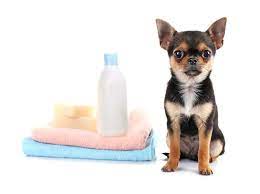 Bathe your puppy no more than every 3 to 4 weeks, although waiting every few months is. Is Baby Shampoo Safe To Use On Dogs The Dogington Post
