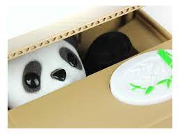 ( 3.0 ) out of 5 stars 2 ratings , based on 2 reviews current price $10.99 $ 10. Panda Coin Bank Coolgift