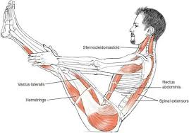 Boat Yoga Pose Yoga Muscles Yoga Anatomy Yoga Asanas
