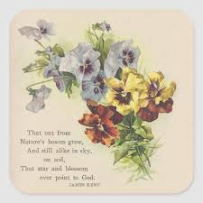Elegant Victorian Pansy Flower Poem Sticker Zazzle Com In 2020 Pansies Flowers Pansies Flower Poem