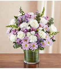 Shop 1800flowers for bonsai tree delivery! Sympathy Loss Of A Pet Flowers Of Charlotte Charlotte Nc Charlotte Nc Florist
