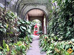 Der garten entstand als aufzucht für nicht winterharte pflanzen, die an das kältere. Botanische Garten Auf Teneriffa Top 5 Unaufschiebbar De