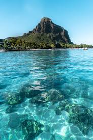 Mauritius Schwimmen Mit Delfinen W Vitamin Sea Travel Blog Mauritius Urlaub Afrika Reisen Ausflug