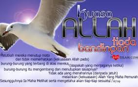 Read or listen al quran e pak online with tarjuma (translation) and tafseer. Tafsir Tarbawi Surat Al Mulk Tabarak Dialog Ilmu