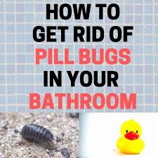What are slaters & how to get rid of them. Pill Bugs In The Bathroom Get Rid Of Roly Polys Naturally Bugwiz