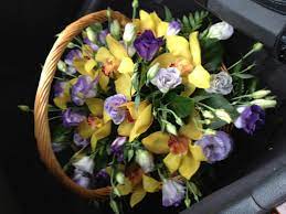 We did not find results for: Crazy Daisy Flowers Gifts Posts Facebook