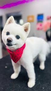 Brandy Bredeson's Instagram, Twitter & Facebook