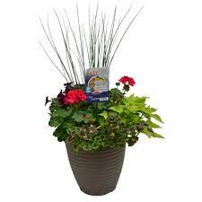 We are residents of georgia. Planter Pot 14 Inch Sam S Club
