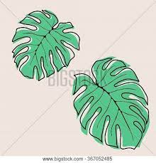 Set Line Drawing Vector Photo Free Trial Bigstock 34+ trendy plants aesthetic tropical.